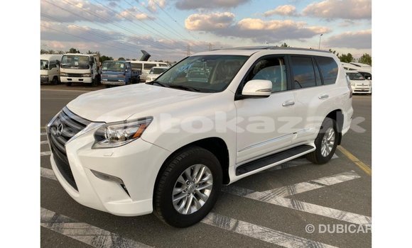 Buy Import Lexus GX White Car in Import - Dubai in Akmecet Buy Import Lexus GX White Car in Import - Dubai in Akmecet