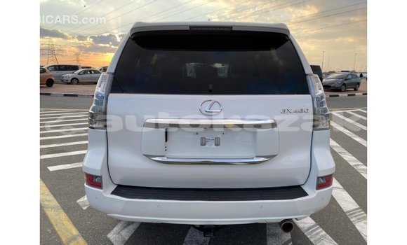 Buy Import Lexus GX White Car in Import - Dubai in Akmecet Buy Import Lexus GX White Car in Import - Dubai in Akmecet