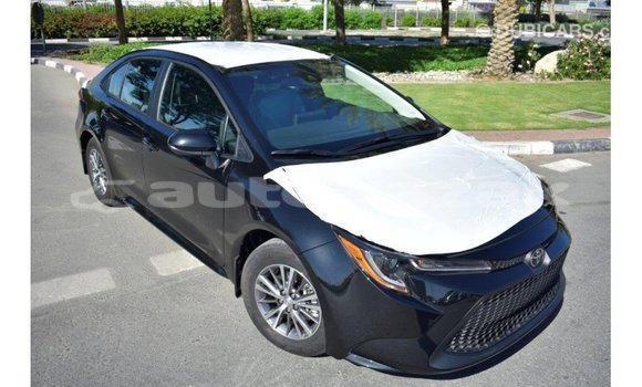 Buy Import Toyota Corolla Black Car in Import - Dubai in Akmecet Buy Import Toyota Corolla Black Car in Import - Dubai in Akmecet