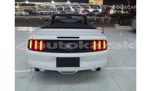 Buy Import Ford Mustang White Car in Import - Dubai in Akmecet Buy Import Ford Mustang White Car in Import - Dubai in Akmecet