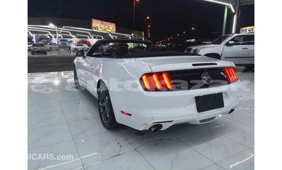 Buy Import Ford Mustang White Car in Import - Dubai in Akmecet Buy Import Ford Mustang White Car in Import - Dubai in Akmecet