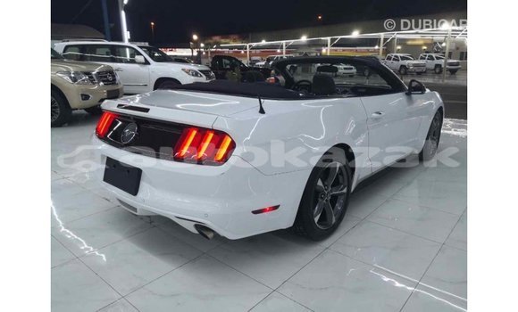 Buy Import Ford Mustang White Car in Import - Dubai in Akmecet Buy Import Ford Mustang White Car in Import - Dubai in Akmecet