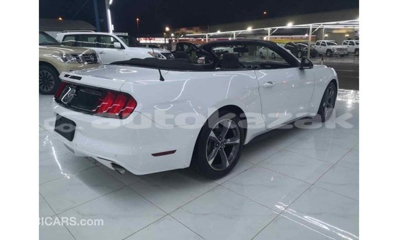 Buy Import Ford Mustang White Car in Import - Dubai in Akmecet