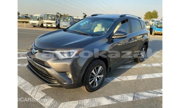 Buy Import Toyota 4Runner Other Car in Import - Dubai in Akmecet Buy Import Toyota 4Runner Other Car in Import - Dubai in Akmecet