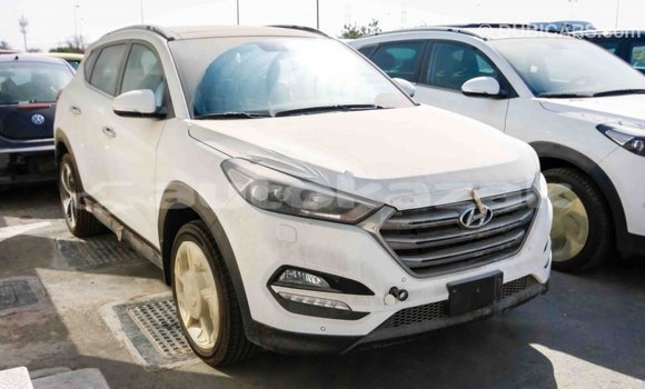 Buy Import Hyundai Tucson White Car in Import - Dubai in Akmecet Buy Import Hyundai Tucson White Car in Import - Dubai in Akmecet