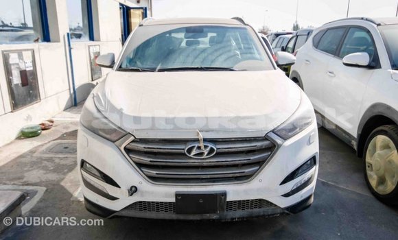 Buy Import Hyundai Tucson White Car in Import - Dubai in Akmecet Buy Import Hyundai Tucson White Car in Import - Dubai in Akmecet