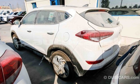 Buy Import Hyundai Tucson White Car in Import - Dubai in Akmecet Buy Import Hyundai Tucson White Car in Import - Dubai in Akmecet