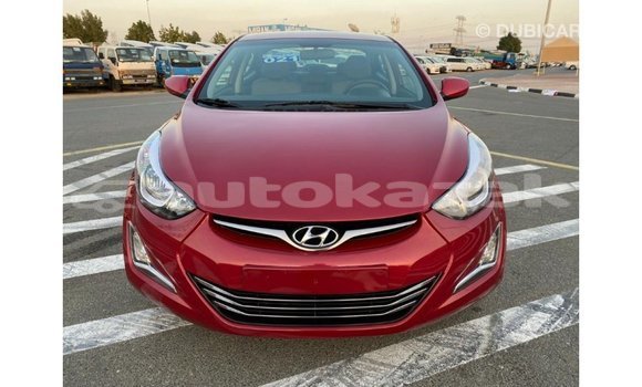 Buy Import Hyundai Elantra Red Car in Import - Dubai in Akmecet Buy Import Hyundai Elantra Red Car in Import - Dubai in Akmecet