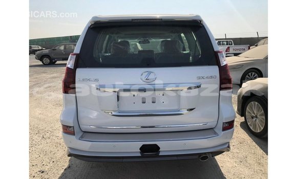 Buy Import Lexus GX White Car in Import - Dubai in Akmecet Buy Import Lexus GX White Car in Import - Dubai in Akmecet