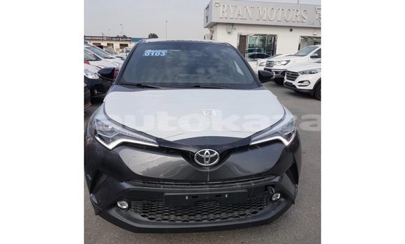 Buy Import Toyota C-HR Other Car in Import - Dubai in Akmecet Buy Import Toyota C-HR Other Car in Import - Dubai in Akmecet