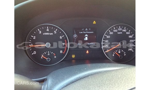 Buy Import Kia Sportage Blue Car in Import - Dubai in Akmecet Buy Import Kia Sportage Blue Car in Import - Dubai in Akmecet