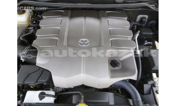Buy Import Toyota Land Cruiser Black Car in Import - Dubai in Akmecet Buy Import Toyota Land Cruiser Black Car in Import - Dubai in Akmecet