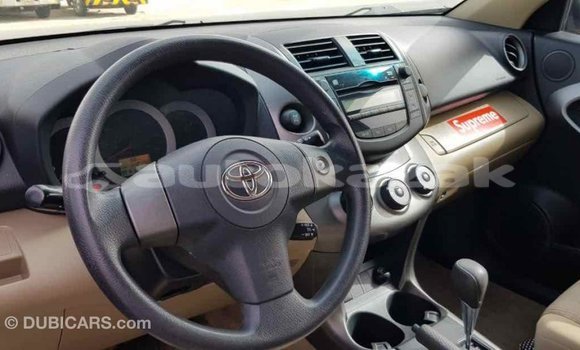 Buy Import Toyota RAV4 Other Car in Import - Dubai in Akmecet Buy Import Toyota RAV4 Other Car in Import - Dubai in Akmecet