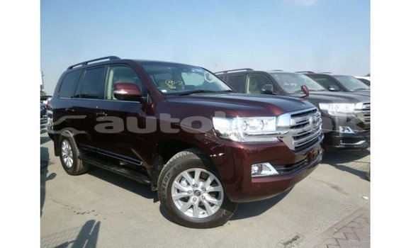 Buy Import Toyota Land Cruiser Brown Car in Import - Dubai in Akmecet Buy Import Toyota Land Cruiser Brown Car in Import - Dubai in Akmecet