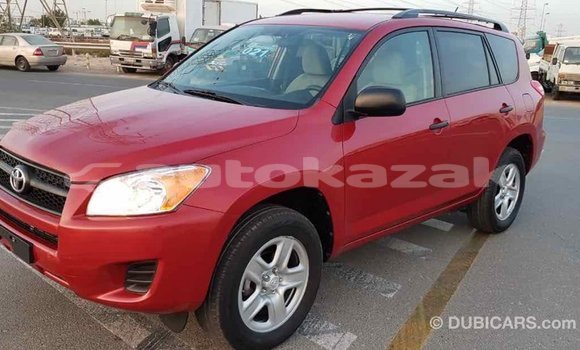 Buy Import Toyota RAV4 Red Car in Import - Dubai in Akmecet Buy Import Toyota RAV4 Red Car in Import - Dubai in Akmecet