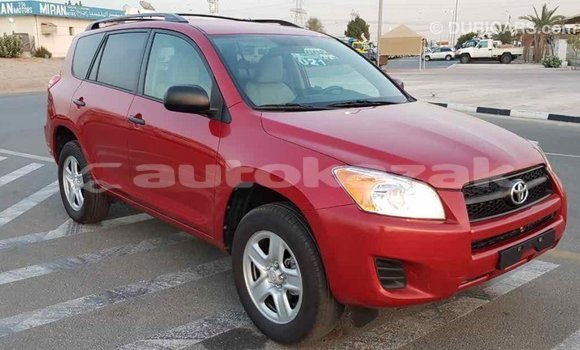 Buy Import Toyota RAV4 Red Car in Import - Dubai in Akmecet Buy Import Toyota RAV4 Red Car in Import - Dubai in Akmecet