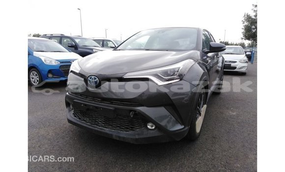 Buy Import Toyota C-HR Other Car in Import - Dubai in Akmecet Buy Import Toyota C-HR Other Car in Import - Dubai in Akmecet