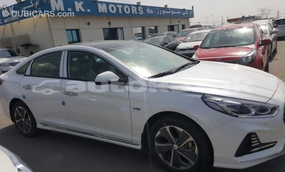 Buy Import Hyundai Sonata White Car in Import - Dubai in Akmecet Buy Import Hyundai Sonata White Car in Import - Dubai in Akmecet
