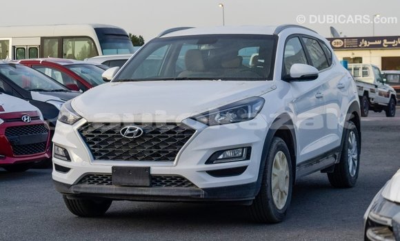 Buy Import Hyundai Tucson White Car in Import - Dubai in Akmecet Buy Import Hyundai Tucson White Car in Import - Dubai in Akmecet