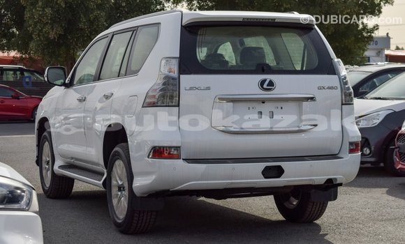 Buy Import Lexus GX White Car in Import - Dubai in Akmecet Buy Import Lexus GX White Car in Import - Dubai in Akmecet