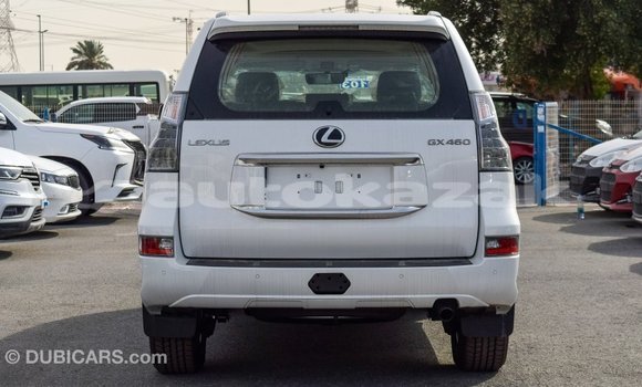 Buy Import Lexus GX White Car in Import - Dubai in Akmecet Buy Import Lexus GX White Car in Import - Dubai in Akmecet