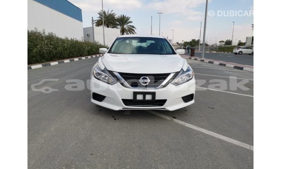Buy Import Nissan Altima White Car in Import - Dubai in Akmecet Buy Import Nissan Altima White Car in Import - Dubai in Akmecet
