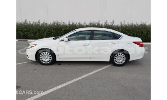 Buy Import Nissan Altima White Car in Import - Dubai in Akmecet Buy Import Nissan Altima White Car in Import - Dubai in Akmecet