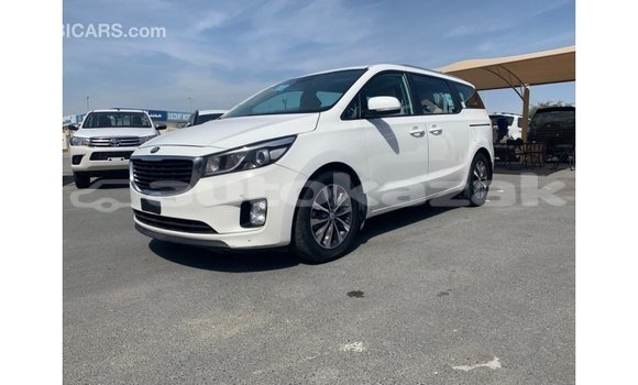 Buy Import Kia Carnival White Car in Import - Dubai in Akmecet Buy Import Kia Carnival White Car in Import - Dubai in Akmecet