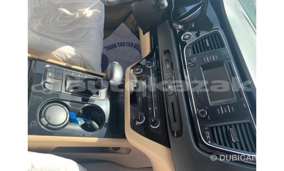 Buy Import Kia Carnival White Car in Import - Dubai in Akmecet Buy Import Kia Carnival White Car in Import - Dubai in Akmecet