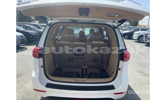 Buy Import Kia Carnival White Car in Import - Dubai in Akmecet Buy Import Kia Carnival White Car in Import - Dubai in Akmecet