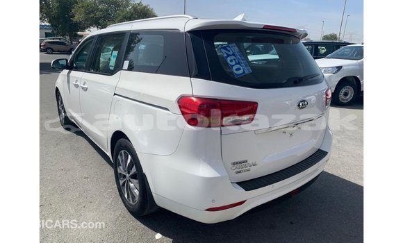 Buy Import Kia Carnival White Car in Import - Dubai in Akmecet Buy Import Kia Carnival White Car in Import - Dubai in Akmecet