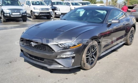 Buy Import Ford Mustang Other Car in Import - Dubai in Akmecet Buy Import Ford Mustang Other Car in Import - Dubai in Akmecet
