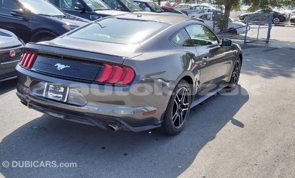Buy Import Ford Mustang Other Car in Import - Dubai in Akmecet Buy Import Ford Mustang Other Car in Import - Dubai in Akmecet