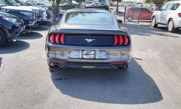 Buy Import Ford Mustang Other Car in Import - Dubai in Akmecet Buy Import Ford Mustang Other Car in Import - Dubai in Akmecet
