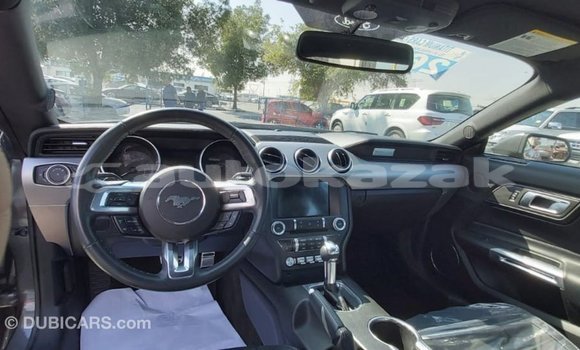 Buy Import Ford Mustang Other Car in Import - Dubai in Akmecet Buy Import Ford Mustang Other Car in Import - Dubai in Akmecet