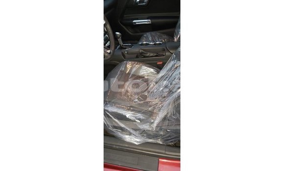 Buy Import Ford Mustang Red Car in Import - Dubai in Akmecet Buy Import Ford Mustang Red Car in Import - Dubai in Akmecet