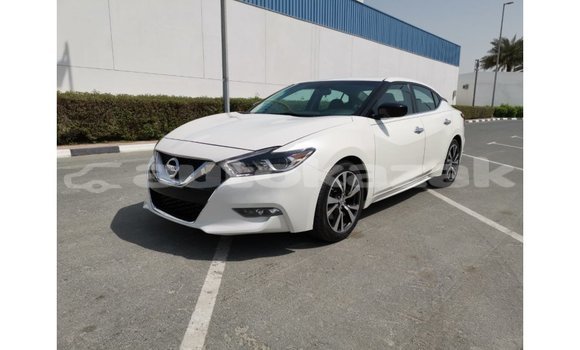 Buy Import Nissan Maxima White Car in Import - Dubai in Akmecet Buy Import Nissan Maxima White Car in Import - Dubai in Akmecet