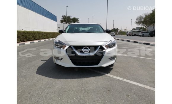 Buy Import Nissan Maxima White Car in Import - Dubai in Akmecet Buy Import Nissan Maxima White Car in Import - Dubai in Akmecet
