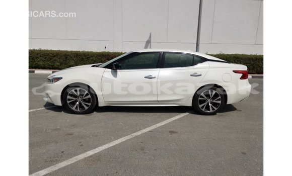 Buy Import Nissan Maxima White Car in Import - Dubai in Akmecet Buy Import Nissan Maxima White Car in Import - Dubai in Akmecet
