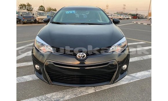 Buy Import Toyota Corolla Black Car in Import - Dubai in Akmecet Buy Import Toyota Corolla Black Car in Import - Dubai in Akmecet