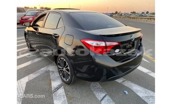 Buy Import Toyota Corolla Black Car in Import - Dubai in Akmecet Buy Import Toyota Corolla Black Car in Import - Dubai in Akmecet