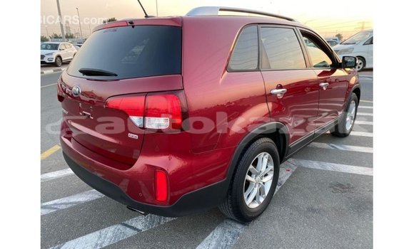 Buy Import Kia Sorento Red Car in Import - Dubai in Akmecet Buy Import Kia Sorento Red Car in Import - Dubai in Akmecet