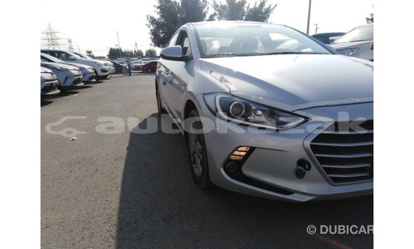 Buy Import Hyundai Elantra Other Car in Import - Dubai in Akmecet Buy Import Hyundai Elantra Other Car in Import - Dubai in Akmecet