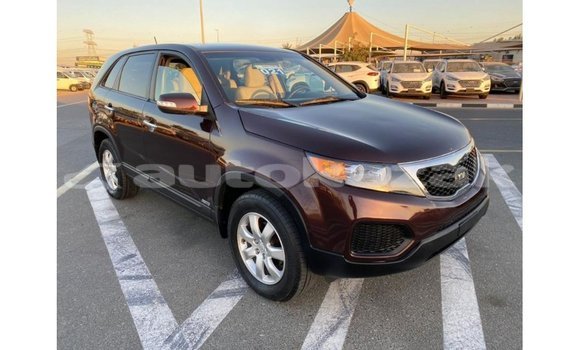 Buy Import Kia Sorento Brown Car in Import - Dubai in Akmecet Buy Import Kia Sorento Brown Car in Import - Dubai in Akmecet