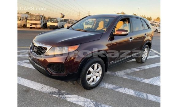 Buy Import Kia Sorento Brown Car in Import - Dubai in Akmecet Buy Import Kia Sorento Brown Car in Import - Dubai in Akmecet
