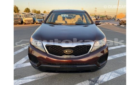 Buy Import Kia Sorento Brown Car in Import - Dubai in Akmecet Buy Import Kia Sorento Brown Car in Import - Dubai in Akmecet