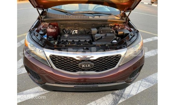 Buy Import Kia Sorento Brown Car in Import - Dubai in Akmecet Buy Import Kia Sorento Brown Car in Import - Dubai in Akmecet
