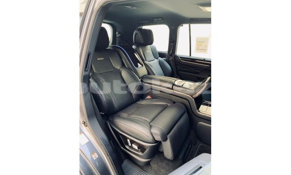 Buy Import Lexus LX Other Car in Import - Dubai in Akmecet Buy Import Lexus LX Other Car in Import - Dubai in Akmecet