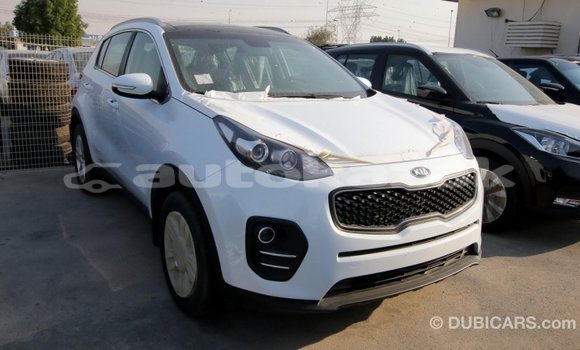 Buy Import Kia Sportage White Car in Import - Dubai in Akmecet Buy Import Kia Sportage White Car in Import - Dubai in Akmecet