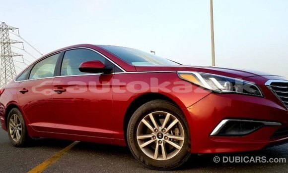 Buy Import Hyundai Sonata Red Car in Import - Dubai in Akmecet Buy Import Hyundai Sonata Red Car in Import - Dubai in Akmecet